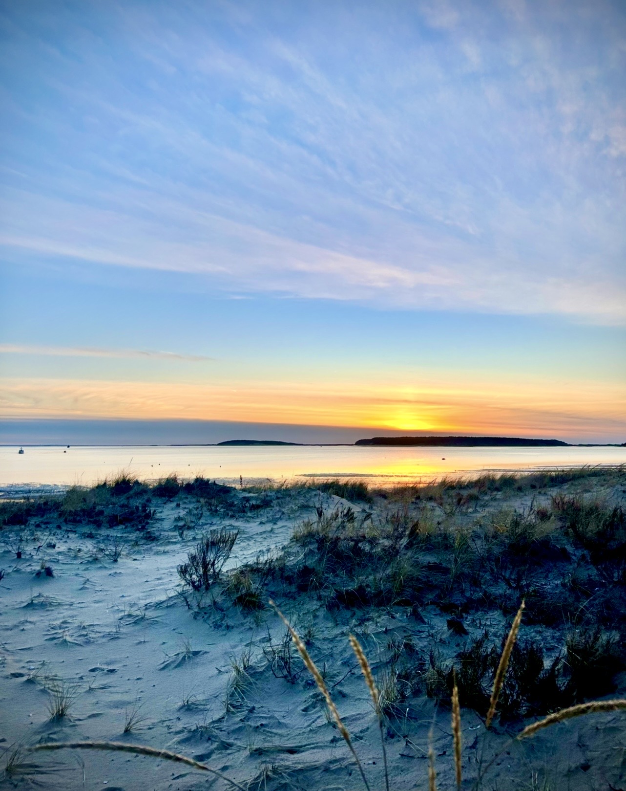 New Walkers & Beginners: Late Day at Wellfleet Harbor, Wellfleet, 2 OR 3 miles, Monday, 3/9