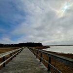 Beginner: Doane Rock to Coast Guard Beach, Eastham, 1.5 miles, Saturday