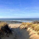 Intermediate: Lieutenant Island, Wellfleet, 3.6 miles, Monday