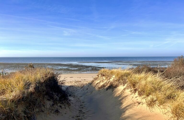 Intermediate: Lieutenant Island, Wellfleet, 3.6 miles, Monday