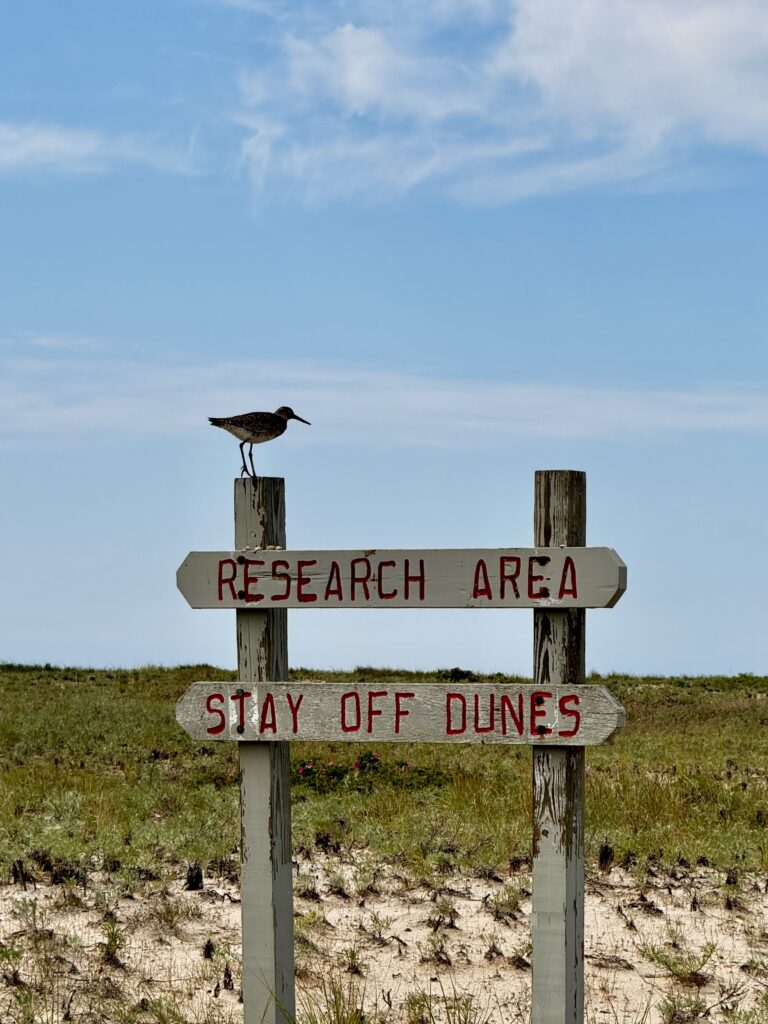 Intermediate/Advanced -Dead Neck Trail – Mashpee- 2.8 miles, Wednesday