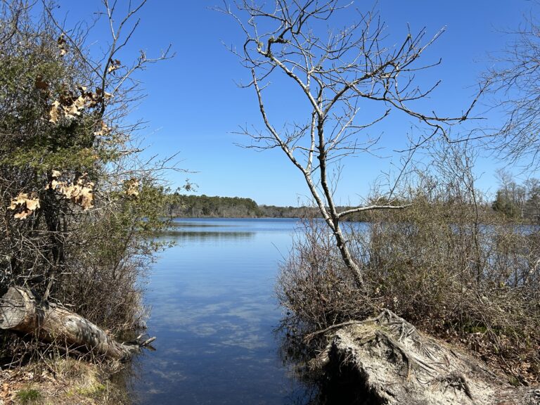 High Beginner/Low Intermediate, Wiley Park and Cottontail Acres, Eastham, 2.8 miles, Thursday