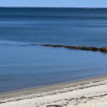 Intermediate/Advanced: Saint's Landing Neighborhood, Brewster, 4.0 miles (Tuesday)