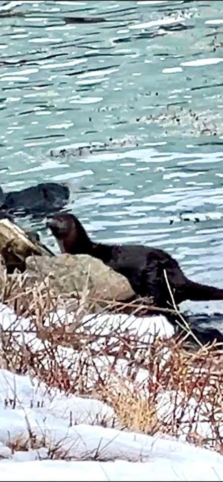 Gentle – Beginner, Cape Cod Canal, Sandwich, 2 miles, Tuesday