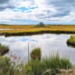 Intermediate - Shining Sea Bike Path, Falmouth - 4 miles