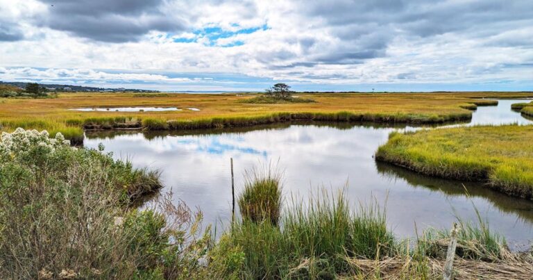 Intermediate – Shining Sea Bike Path, Falmouth – 4 miles