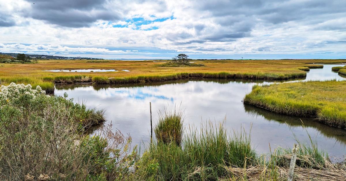 Intermediate - Shining Sea Bike Path, Falmouth - 4 miles