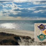 All Levels / At Your Own Pace: Traipsing + Optional Tea Tasting, Cold Storage Beach, North Truro, up to 2.7 miles, Wednesday