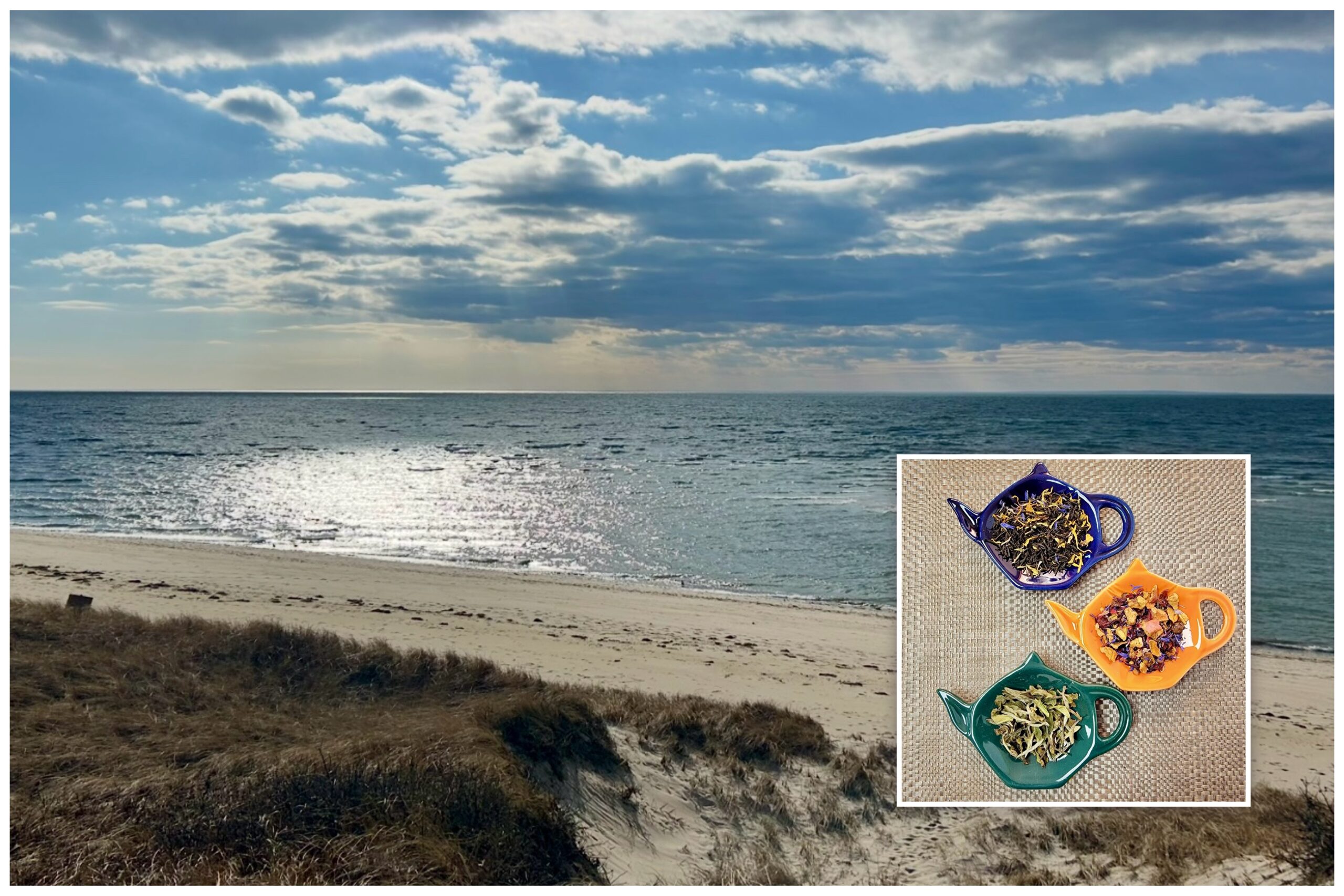 All Levels / At Your Own Pace: Traipsing + Optional Tea Tasting, Cold Storage Beach, North Truro, up to 2.7 miles, Wednesday