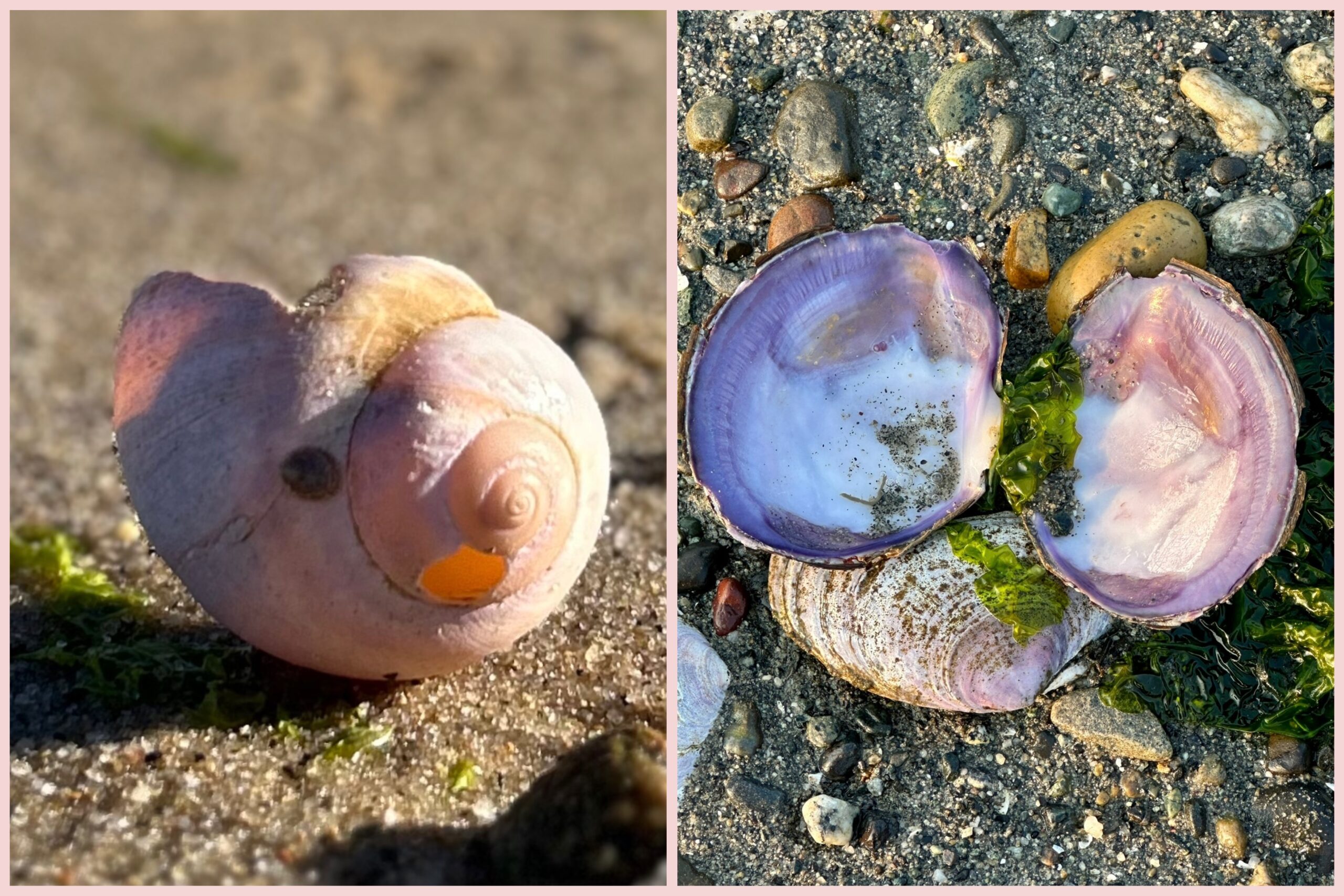 Intermediate: Poles, Pastels, and Prose at Lieutenant Island, Wellfleet, 3-3.5 miles, Sunday