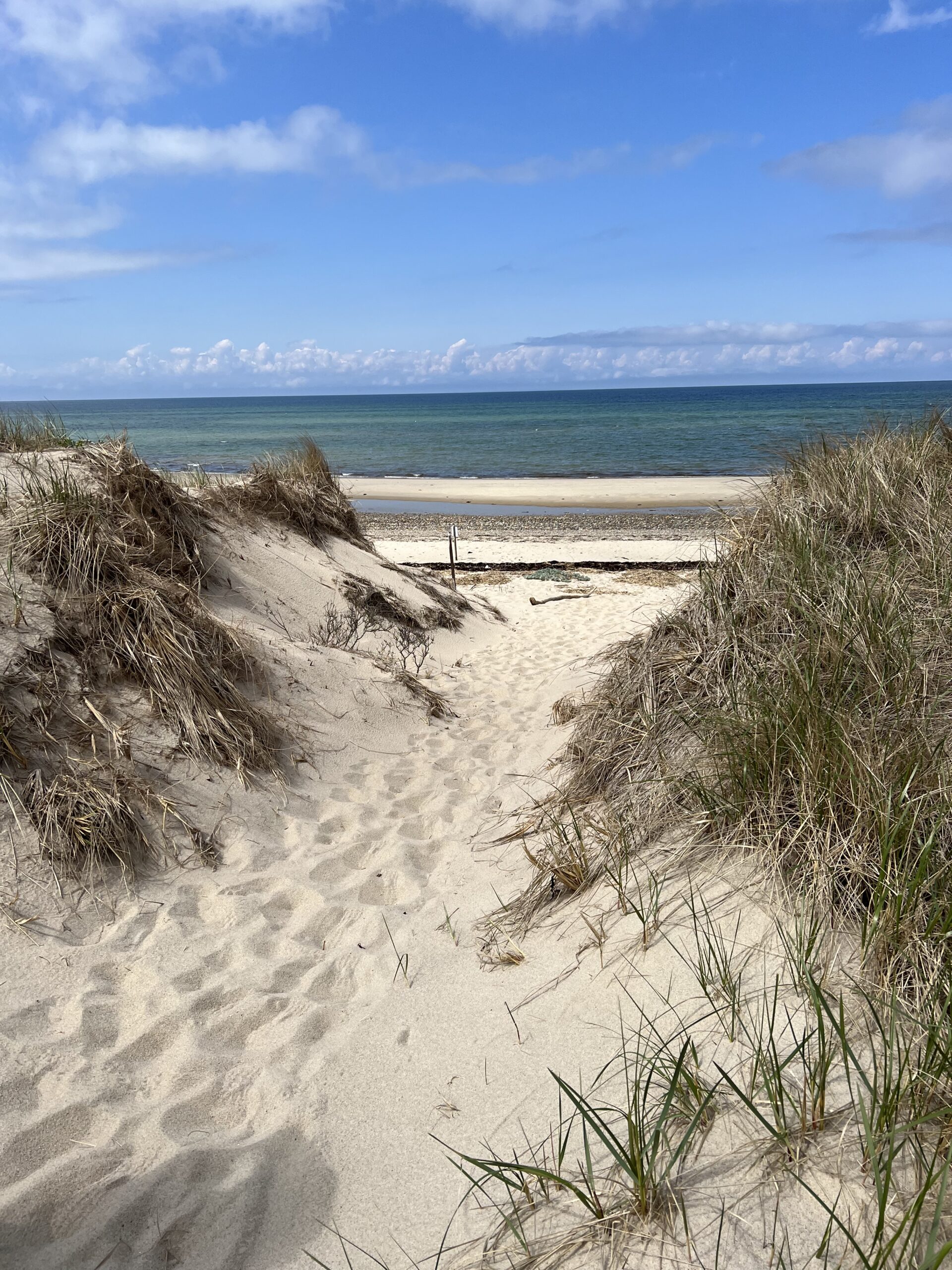 Intermediate, Duck Harbor - Bound Brook, Wellfleet, 4 miles (Tuesday)