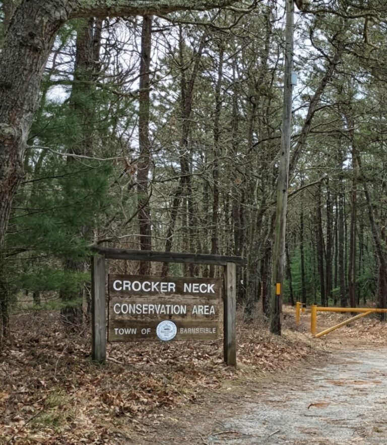 Intermediate, Crocker Neck/Eagle Pond, Cotuit, 3 miles, Monday