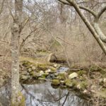 POP UP - Intermediate- TUESDAY-  Cardoza & Bourne Farm -  North Falmouth- 3 miles-