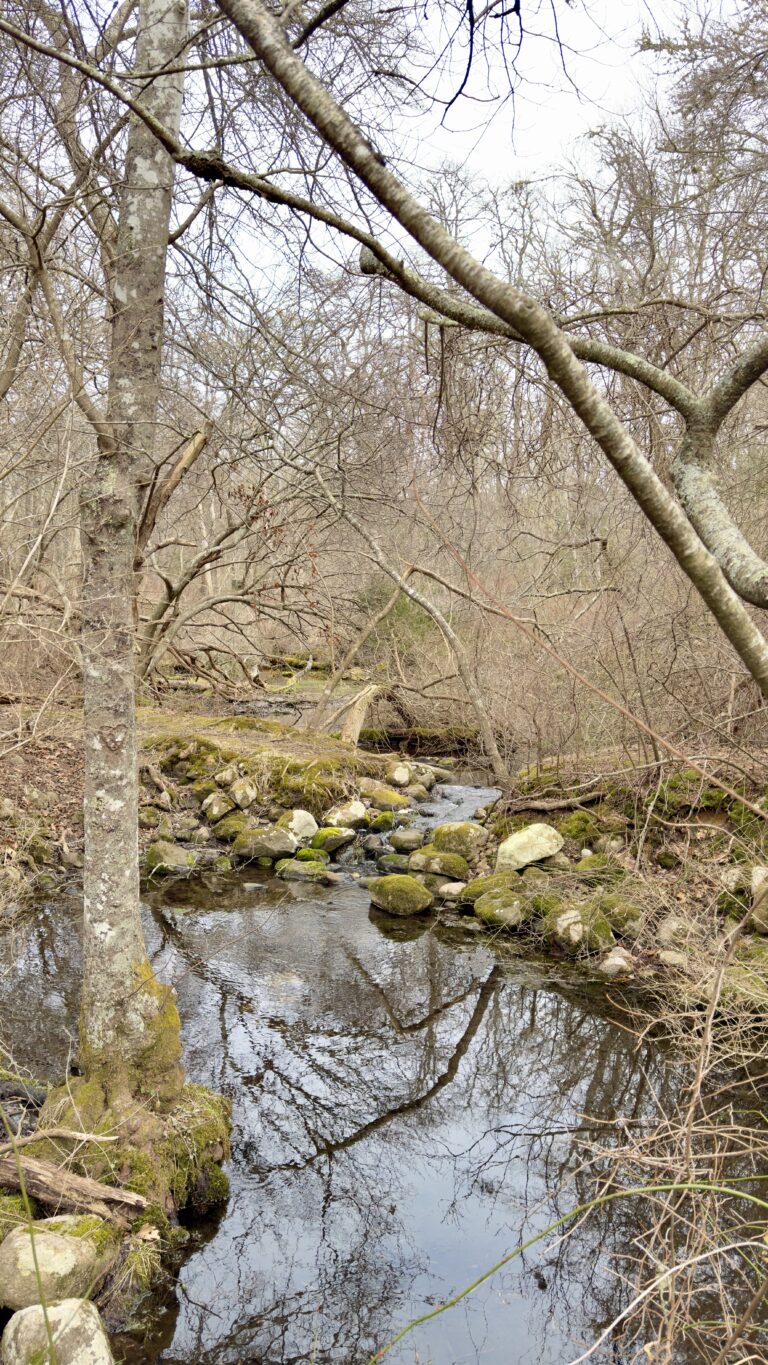 Intermediate- Cardoza&Bourne Farms- North Falmouth- 3 miles- Thursday