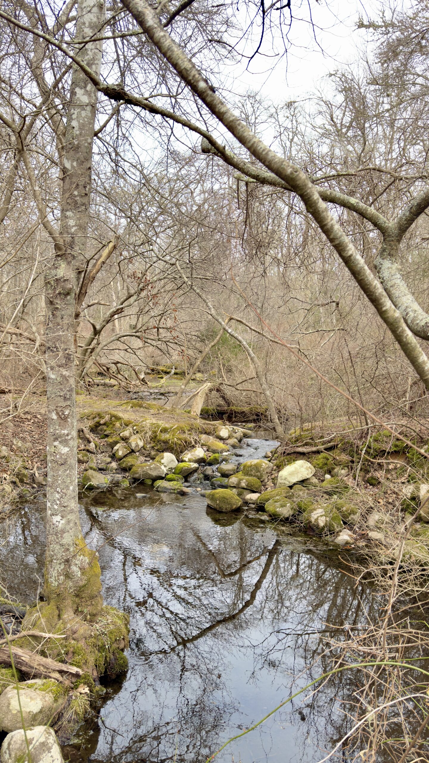 POP UP - Intermediate- TUESDAY-  Cardoza & Bourne Farm -  North Falmouth- 3 miles-