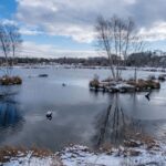 Intermediate: RF Smith Cold Brook Preserve, Harwich, 4.0 miles, (Sunday)
