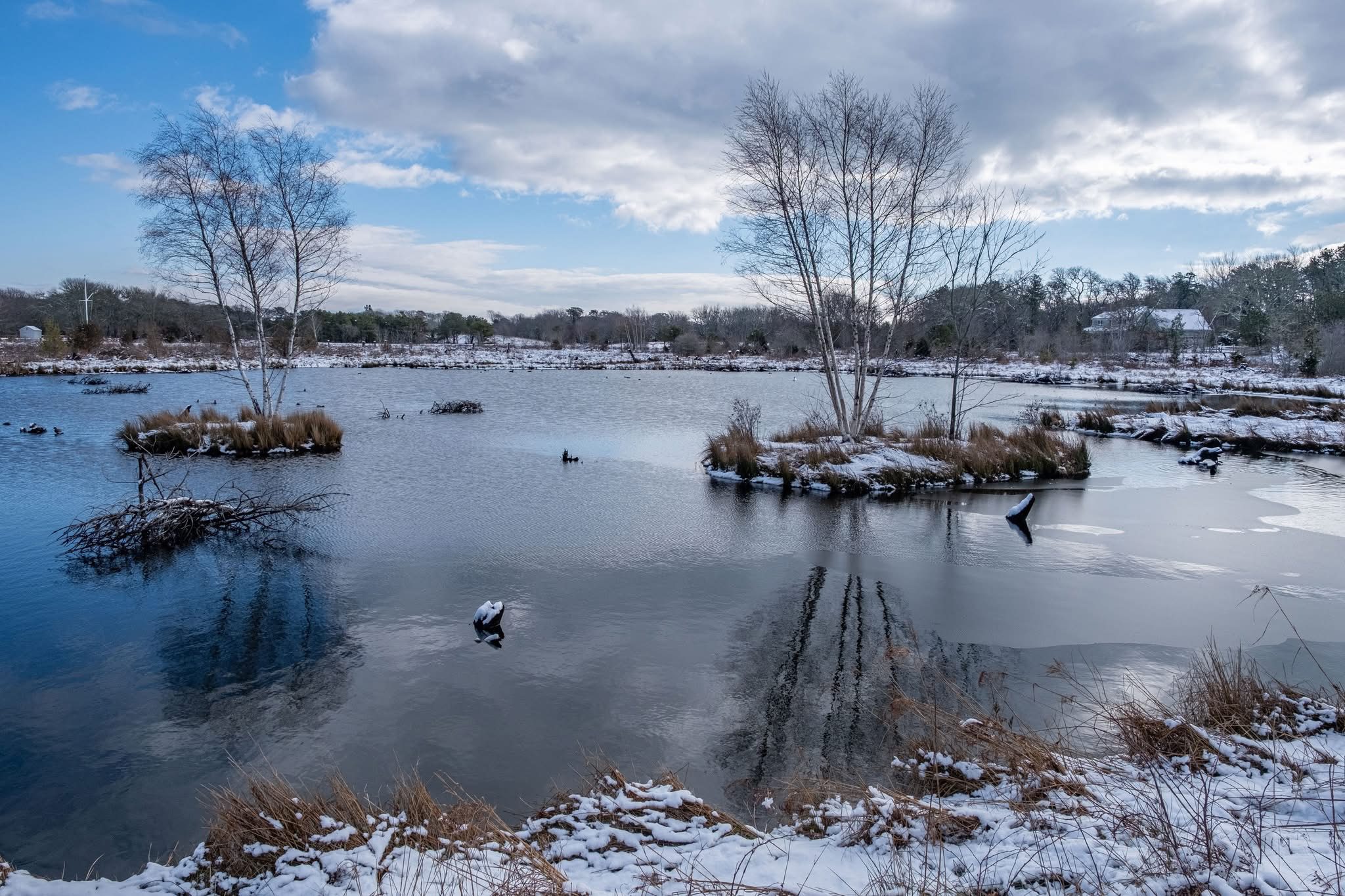 Intermediate: RF Smith Cold Brook Preserve, Harwich, 4.0 miles, (Sunday)