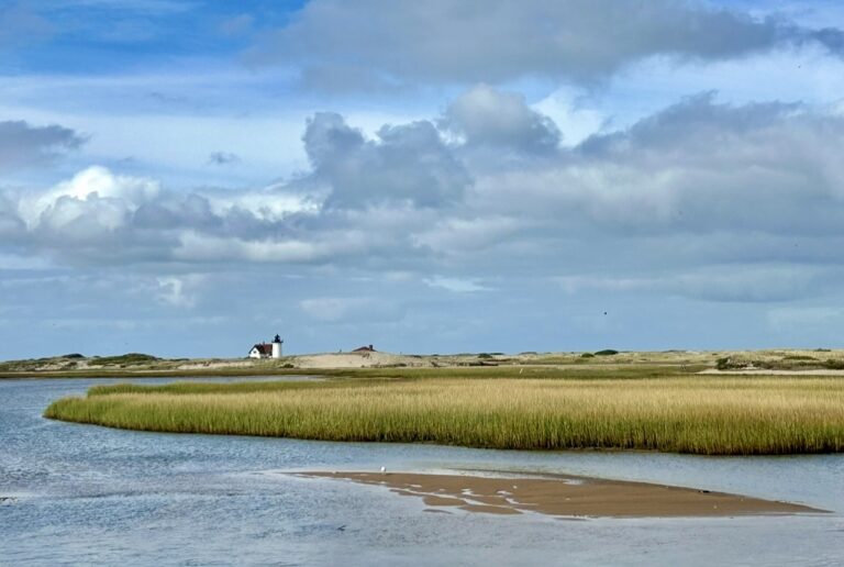 Intermediate: Hatches Harbor to Race Point Light, Provincetown, 3.5 miles, Tuesday