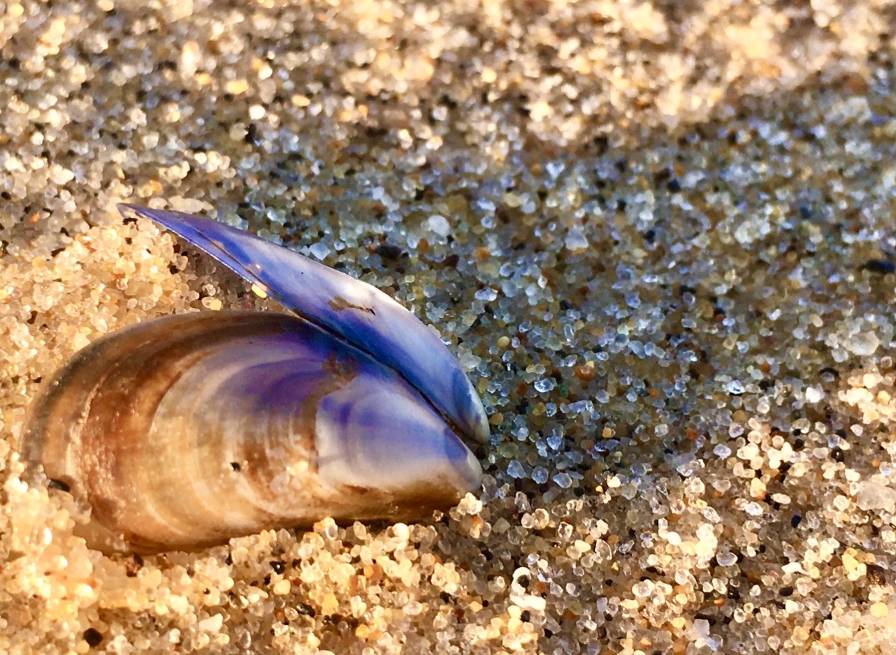 All Levels: Poles, Pastels, and Prose @ Duck Harbor Beach, Wellfleet, 1.5-2 miles, Tuesday