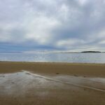 Intermediate: Indian Neck to Fox Island Marsh, Wellfleet, 3 miles, Sunday