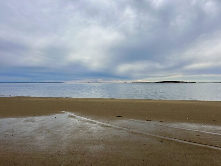 Intermediate: Indian Neck to Fox Island Marsh, Wellfleet, 3 miles, Sunday