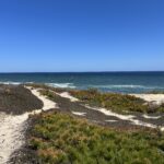 Intermediate, Marconi Woods, Bluffs, and Fresh Brook, Wellfleet, 4 miles, Monday