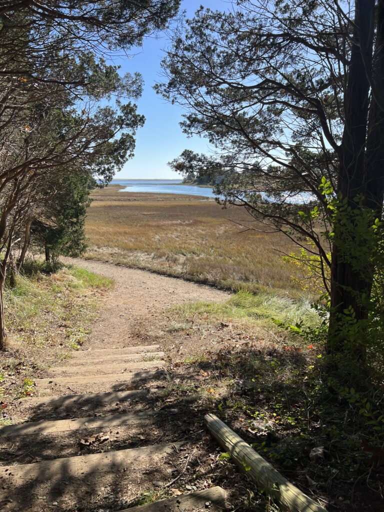 Inter/Adv, Salt Pond VC-Doane Rock-Coast Guard Beach, Eastham, 4.8 mi (Friday)