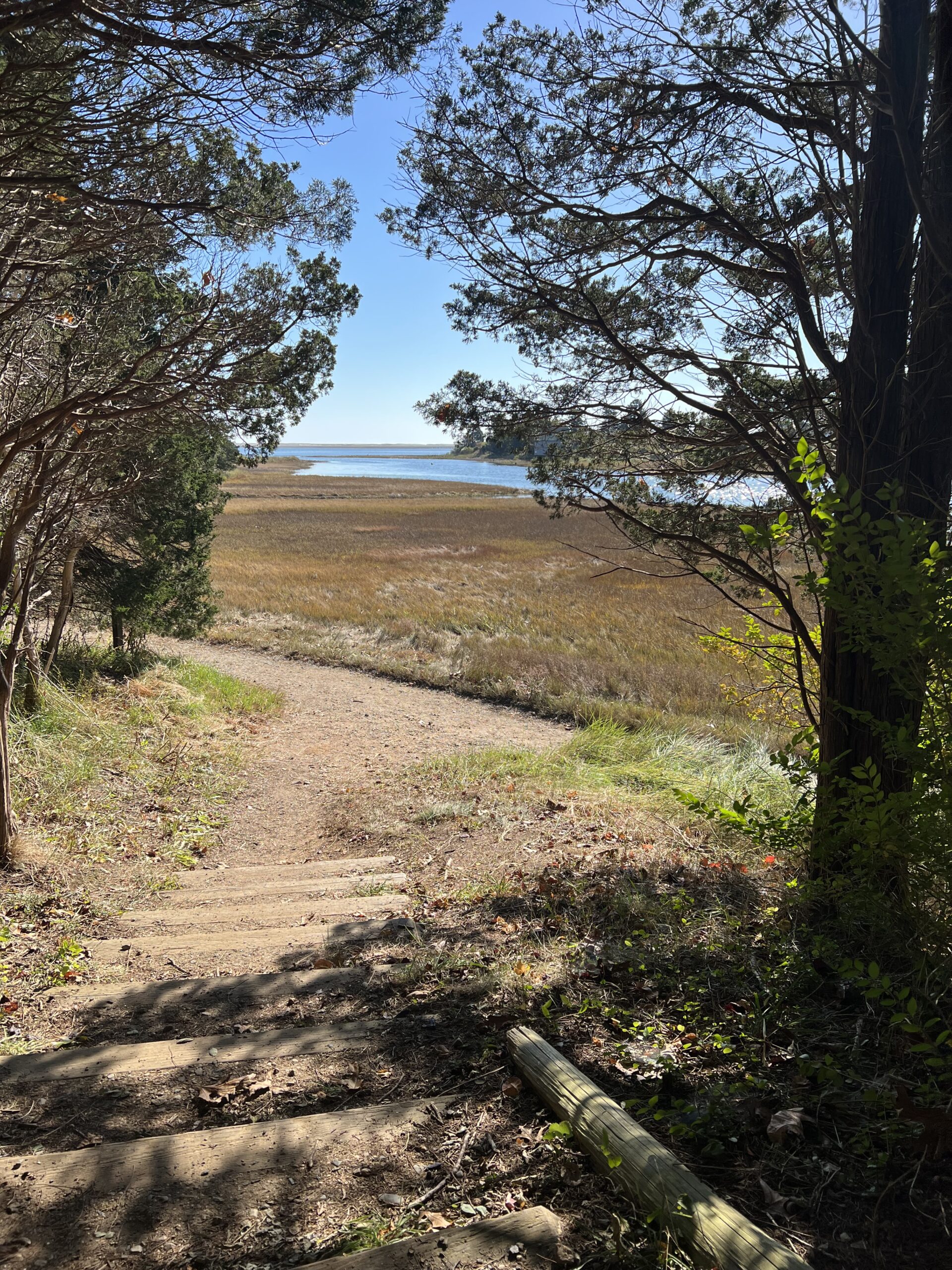 Inter/Adv, Salt Pond VC-Doane Rock-Coast Guard Beach, Eastham, 4.8 mi (Friday)