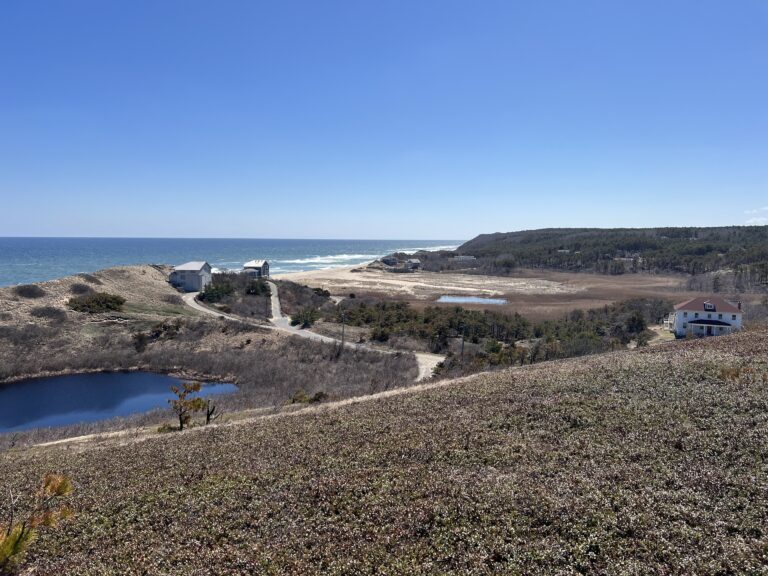 Intermediate: Ballston Beach-Pamet Trails, North Truro, 3-3.5 mi (Saturday)