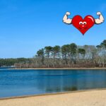 Advanced: Patriot’s Day Power Hour, Nickerson State Park, Brewster, 3 miles, Monday