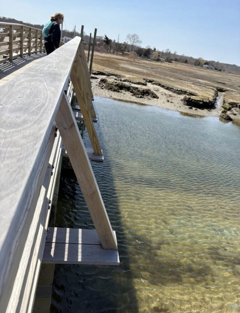 Beginner, Sandwich Boardwalk, 2 miles, Saturday