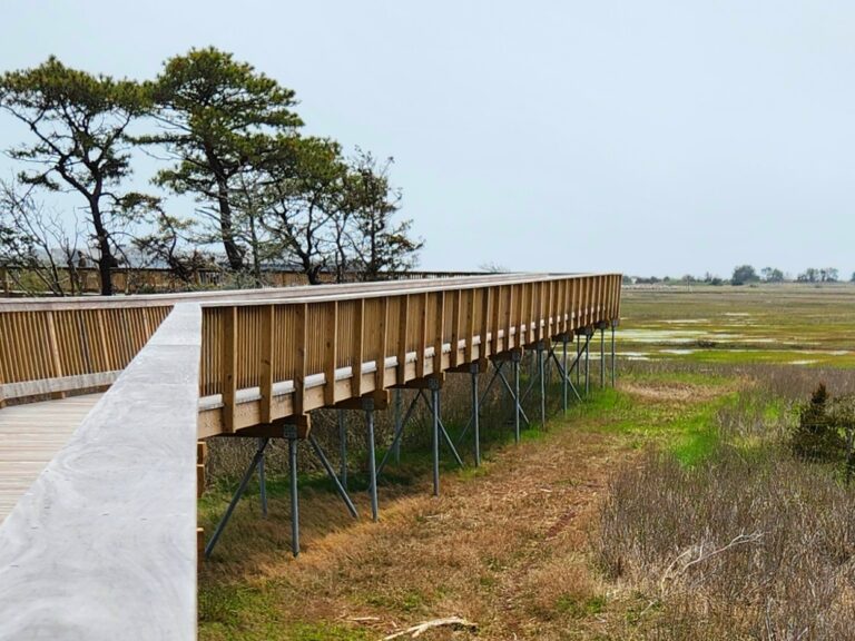 All Levels, NEW LOCATION Parker’s River Landing, West Yarmouth, 1, 2, OR 3 miles, Saturday