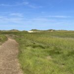 Intermediate: "The Gut" @ Great Island, Wellfleet, 3.45-3.75mi, (Wednesday, 5/20)