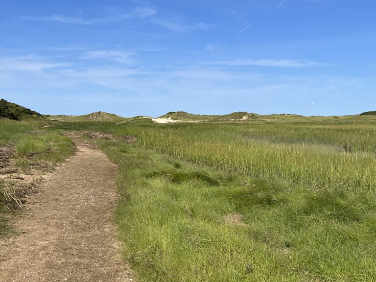 Intermediate: “The Gut” @ Great Island, Wellfleet, 3.45-3.75mi, (Wednesday, 5/20)