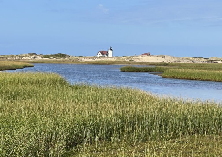 Intermediate/Advanced: Hatches Harbor to Race Point Light, Provincetown, 3.8 miles (Friday)