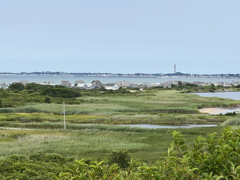 Intermediate/Advanced, Pilgrim Heights-High Head-Head of the Meadow Beach, Truro, ~4.1 miles (Friday 6/5)