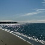 All Levels (Your Pace, Your Distance): Traipsing + Tacos, Cold Storage Beach, North Truro, Friday
