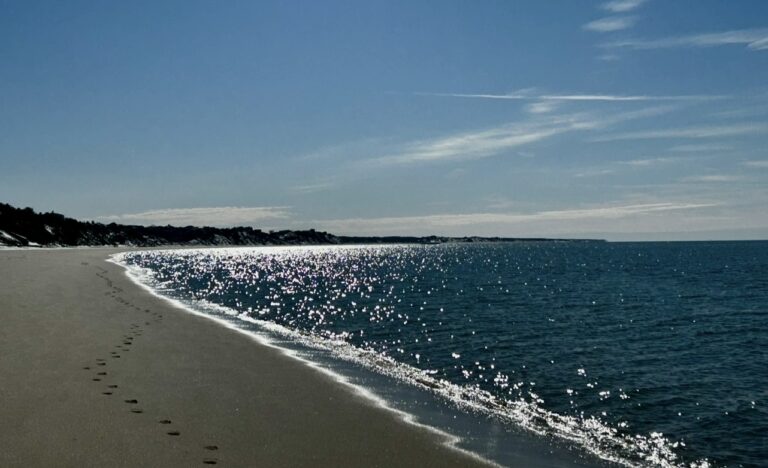 All Levels (Your Pace, Your Distance): Traipsing + Tacos, Cold Storage Beach, North Truro, Friday