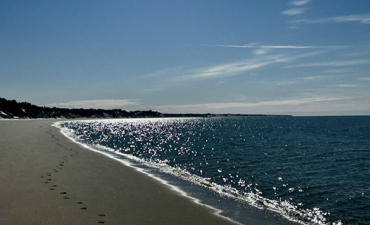 All Levels (Your Pace, Your Distance): Traipsing + Tacos, Cold Storage Beach, North Truro, Friday