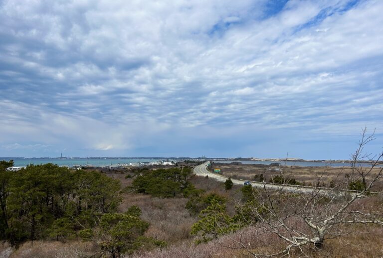 High Beginner / Low Intermediate: High Head Conservation Area, North Truro, 2 miles, Wednesday