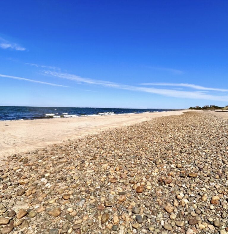High Beg/Low Intermed: Duck Harbor to Ryder Beach, Wellfleet/Truro, 3 miles, Tuesday