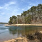 Intermediate: Early Risers—Ruth, Grassy Nook, & Cliff Pond Loop, Nickerson SP, Brewster, 3 miles (Saturday)