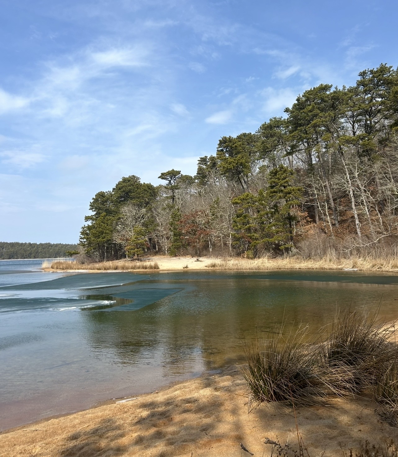 Intermediate: Early Risers—Ruth, Grassy Nook, & Cliff Pond Loop, Nickerson SP, Brewster, 3 miles (Saturday)