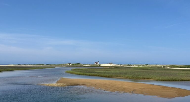 Intermediate: Hatches Harbor to Race Point Light, Provincetown, ~3.5 miles, Thursday