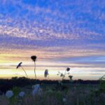 All Levels: Sunset Over Fort Hill, Eastham, 1.8 miles, Saturday June 6
