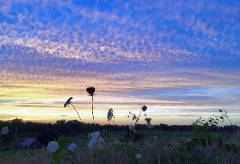 All Levels: Sunset at Fort Hill, Eastham, 1.8 miles, Saturday June 6