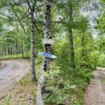 Intermediate/Advanced: Punkhorn Ponds & Cartways, Brewster/Harwich, 4.6 miles, Tuesday