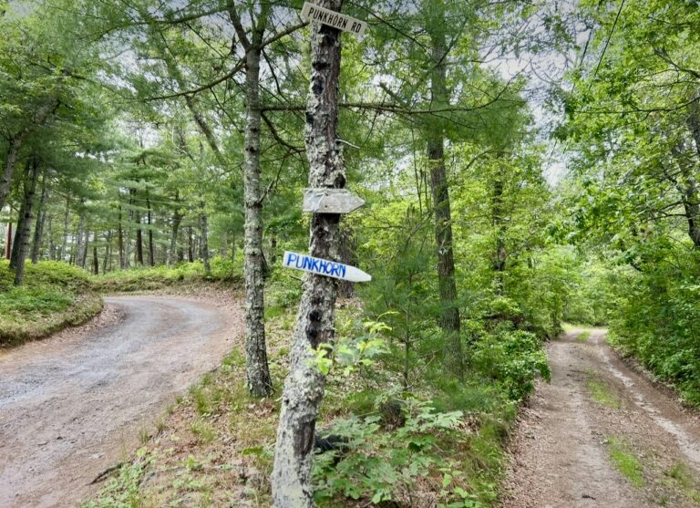 Intermediate/Advanced: Punkhorn Ponds & Cartways, Brewster/Harwich, 4.6 miles, Tuesday