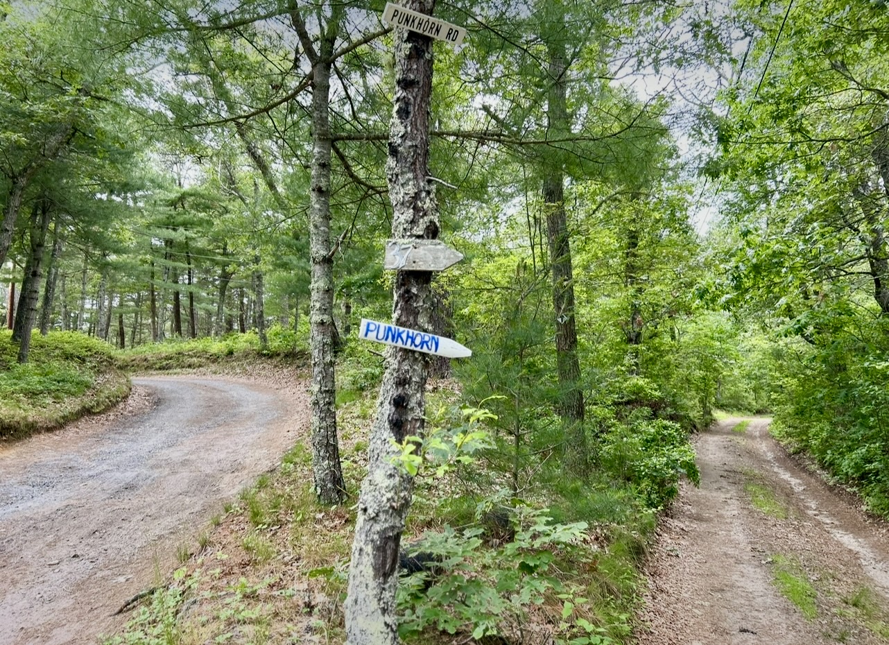 Intermediate/Advanced: Punkhorn Ponds & Cartways, Brewster/Harwich, 4.6 miles, Tuesday