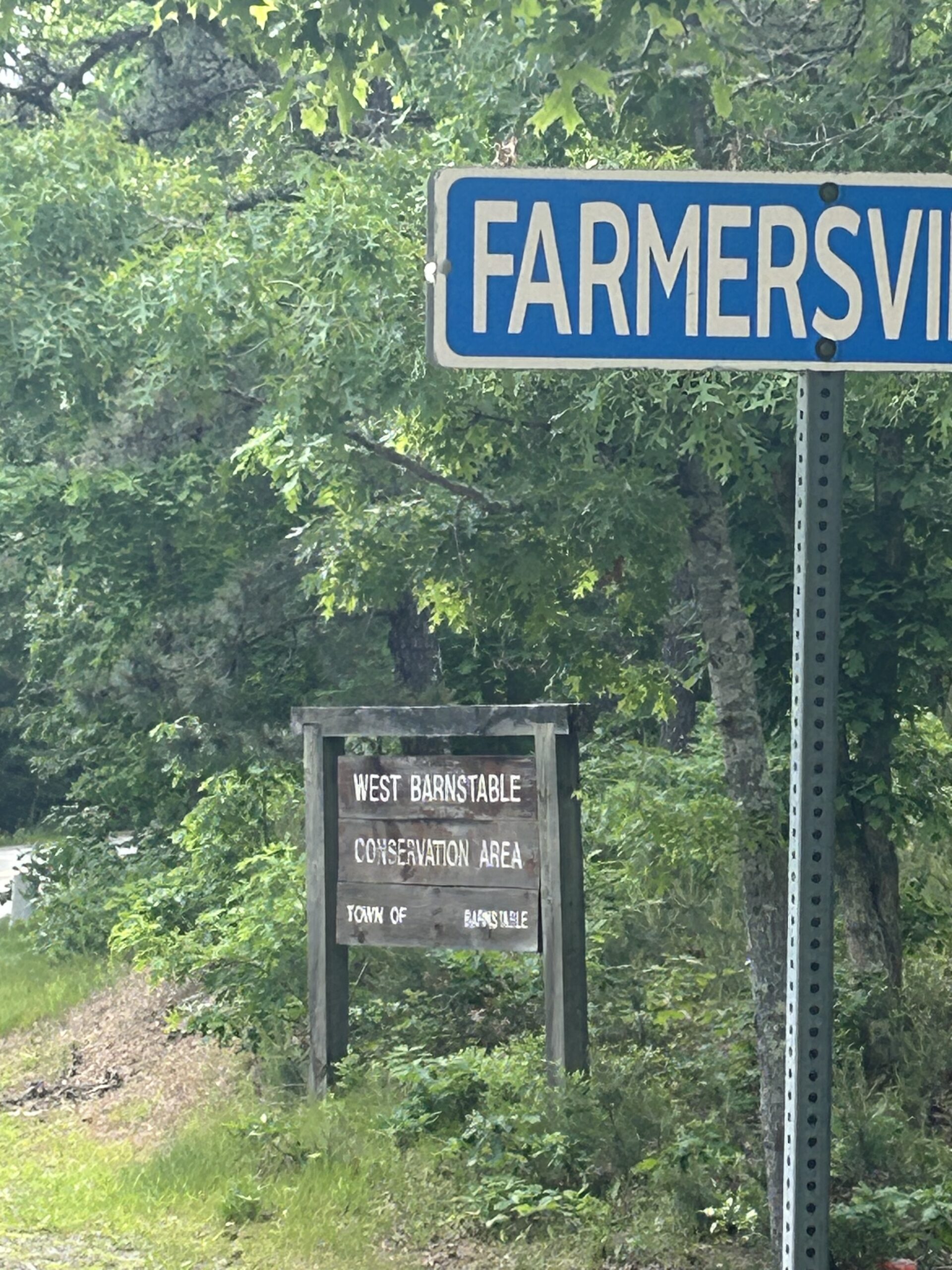 Intermediate West Barnstable Conservation, Farmersville to Walker Lookout, Marstons Mills, 3.1 miles, Sunday
